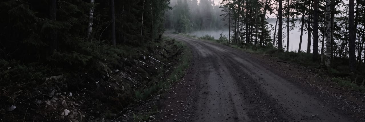 Дорога вдоль озера, лес по обе стороны
